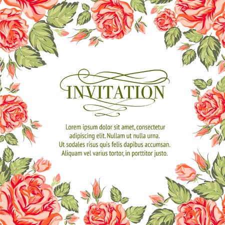 Frame of red roses on a white background. Vector illustrationのイラスト素材