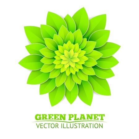 Background with green flower. Vector illustration.のイラスト素材