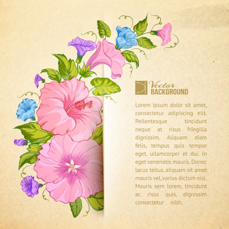 Bindweed flower on paper. Vector illustration.のイラスト素材