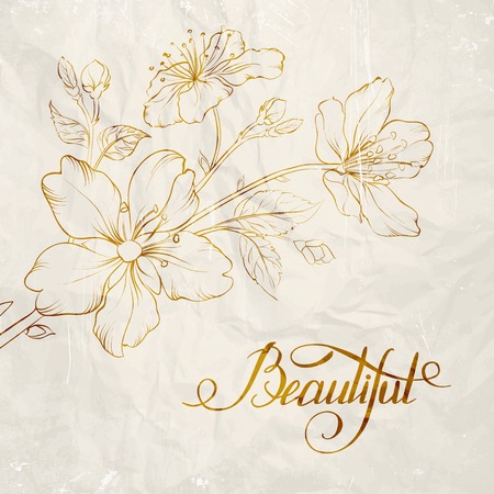 Calligraphy cherry blossom. Beautiful. Vector illustration.のイラスト素材