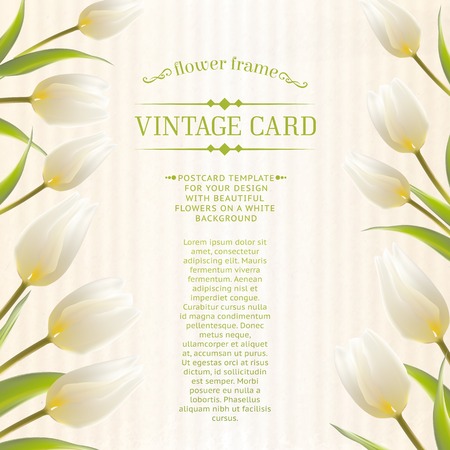 Tulip spring flowers bouquet for your card design. Vector illustration.のイラスト素材
