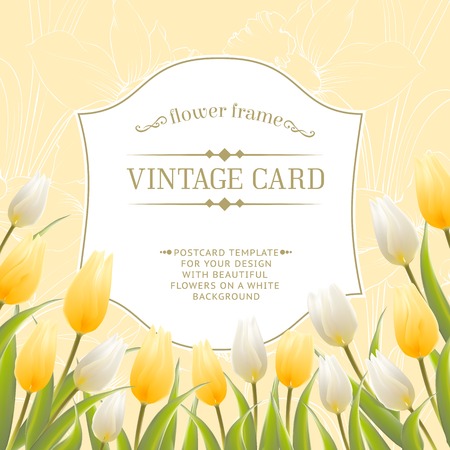 Vintage card with tulips. Vector illustration.のイラスト素材