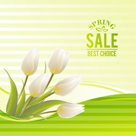 White tulip spring flowers bouquet for sale. Vector illustration.のイラスト素材