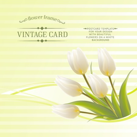 Spring flowers bouquet for sale. Vector illustration.のイラスト素材