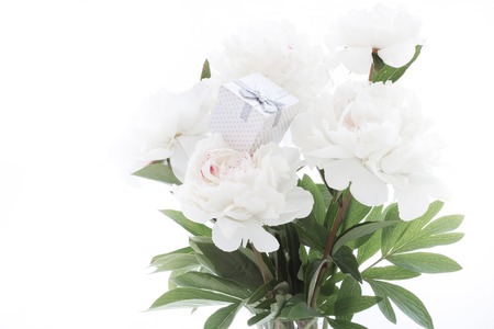 White peony isolated over white.の写真素材