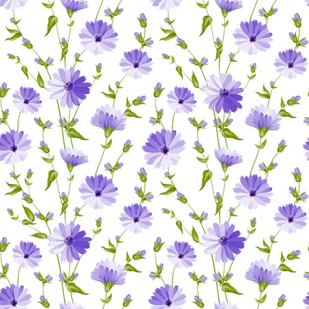 Chicory seamless pattern on white background  Vector illustration のイラスト素材