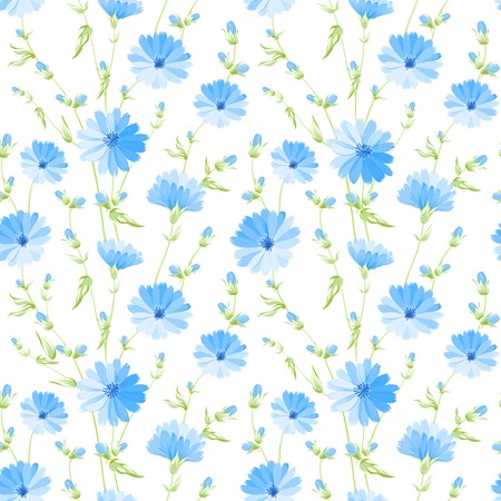 Chicory seamless pattern on white background  Vector illustration のイラスト素材