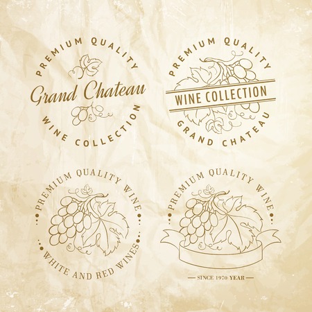 Template design for wine with grapes  Vector illustration のイラスト素材