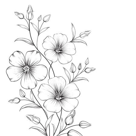 Linum flower isolated over white background. Vector illustration.のイラスト素材