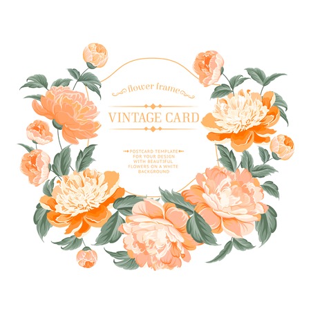 Luxurious vintage frame of color peony label. Vector illustration.のイラスト素材
