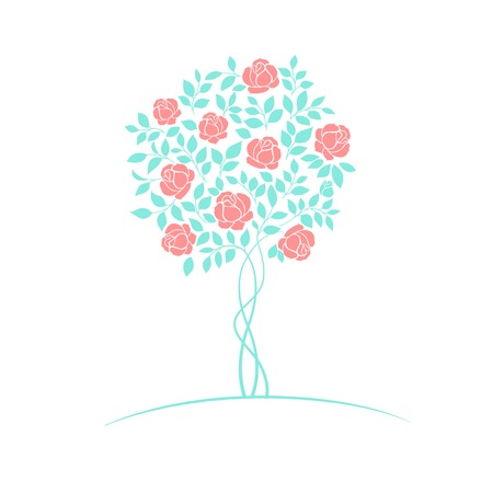 Rose garden tree isolated over white background. Vector illustration.のイラスト素材