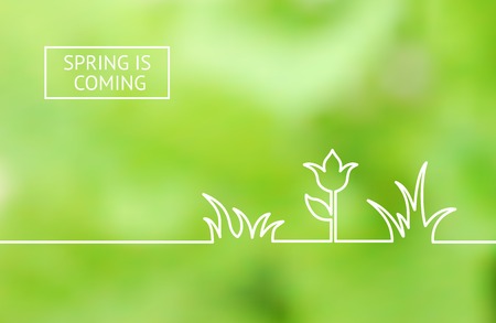Green summer flower line design, horizontal card. Vector illustration.のイラスト素材
