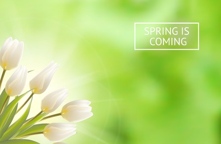 Wedding invitation clean template with blooming flowers. Vector illustration.のイラスト素材