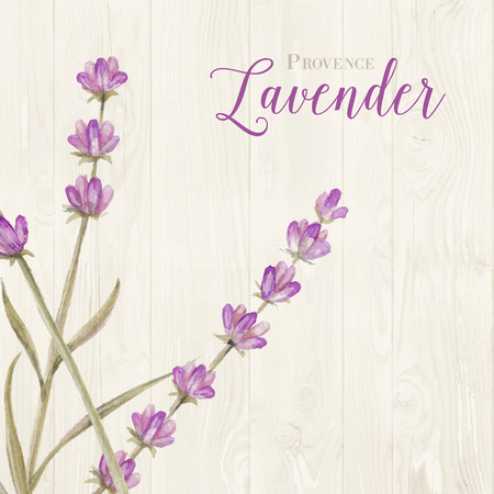 Aromatic laveder over gray wooden panels. Vector illustration.のイラスト素材