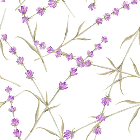 Watercolor pattern with Lavender for fabric swatch. Vector illustration.のイラスト素材
