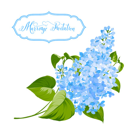 Spring siringa flowers background for the romantic design. Vector illustrationのイラスト素材