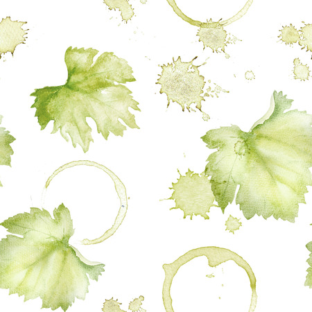 Vine leaf on a white background.の写真素材