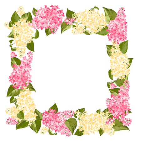 Wreath of brunches of syringe for card design. Vector illustration.のイラスト素材