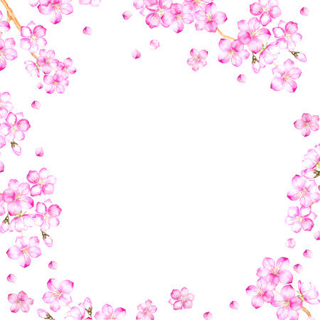 Frame of cherry blossom flowers and ready for text place. Vector illustration.のイラスト素材