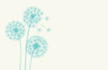Dandelion concept on white background.のイラスト素材