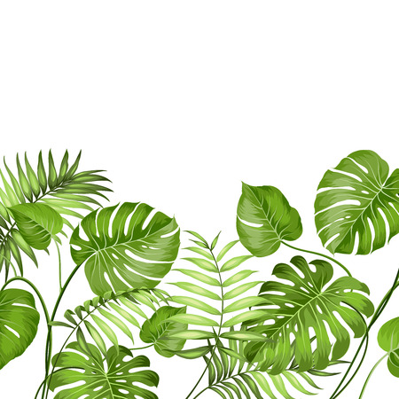 Tropical leaves design for text card. Vector illustration.のイラスト素材