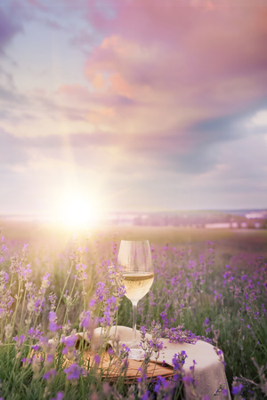 Wine glass against lavender landscape in sunset rays.の写真素材