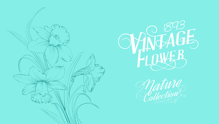 Blue daffodil flower isolated on light background. Blossom flower with custom text. Vintage flower. Vector illustration.のイラスト素材