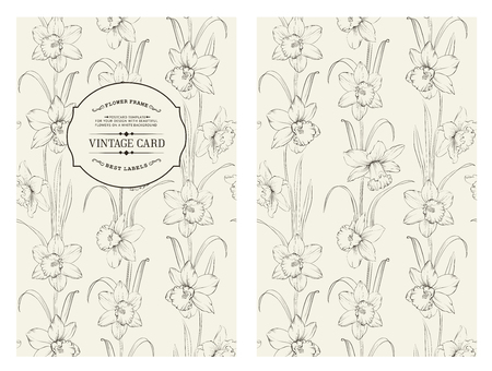 Daffodil flower or narcissus isolated on gray book cover. Floral pattern with narcissus. Vector illustration.のイラスト素材