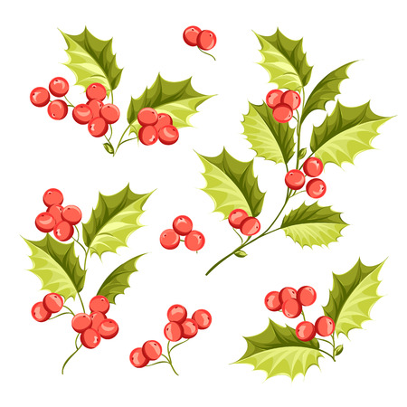 Christmas mistletoe holiday set. Happy new year 2016. Vector illustration. Christmas flower.のイラスト素材