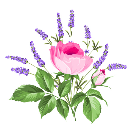 Single rose card. Gentle vintage card with hand drawn floral wreath in watercolor style - fragrant lavender.のイラスト素材