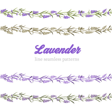 Laveder line border. Collection of line borders fo floral design. Vector illustration.のイラスト素材