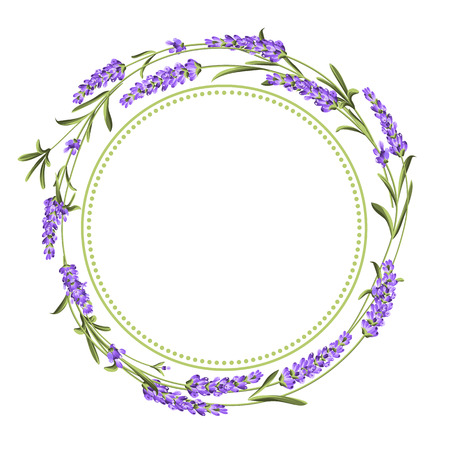 The lavender bouquet with text space over white background. The lavender elegant card. Vintage background vector template for wedding invitation. Vector illustration.のイラスト素材