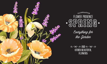 Background with beautiful poppies. Floral card on the black background. Vector illustration.のイラスト素材