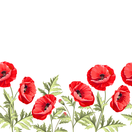 I love you card. Bunch poppy flowers on a white background. Poppy card for paper, label and other printing or web projects. Label with poppy flowers. Vector illustration.のイラスト素材