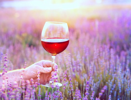 Close up hand holding a glass. Man holding glass of red wine in front of lavender field. Picnic on the field of spring flowers.の写真素材