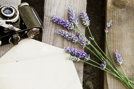 Lavender and camera on wooden table. Flowers and envelope over brown background.の写真素材