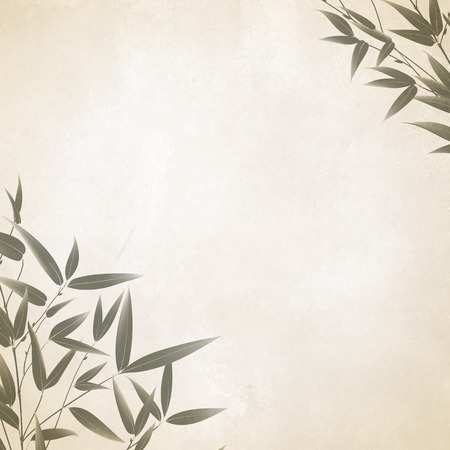 Chinese bamboo painted with a brush on the old paper. illustration.のイラスト素材