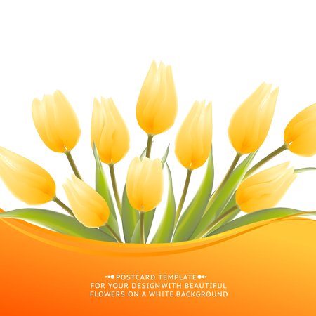 Yellow tulip spring flowers bouquet for your design. Vector illustration.のイラスト素材