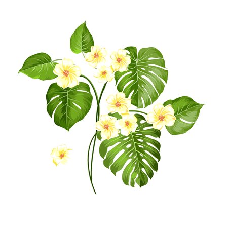 Happy holiday card with floral garland. Wedding garland set with tropical flowers for invitation card. Summer holiday invitation card with floral garland with text place. Vector illustration.のイラスト素材
