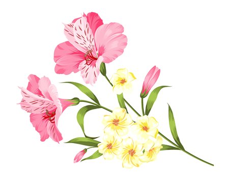 Happy holiday card with floral garland. Wedding garland set with tropical flowers for invitation card. Summer holiday invitation card with floral garland with text place. Vector illustration.のイラスト素材
