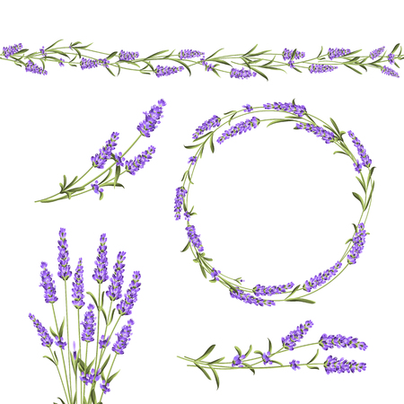 Set of lavender flowers elements. Collection of lavender flowers on a white background. Vector illustration bundle.のイラスト素材