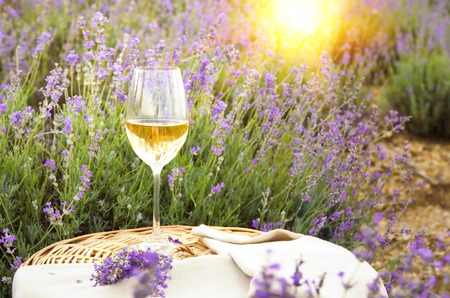Wine glass against lavender landscape.の写真素材