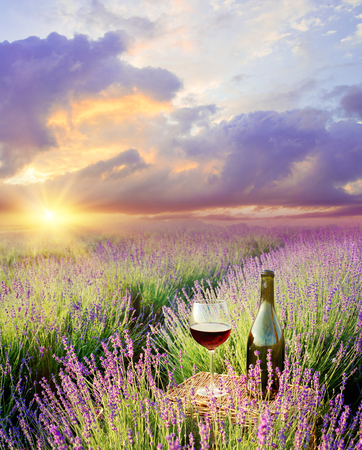 Bottle of wine against lavender landscape in sunset rays.の写真素材