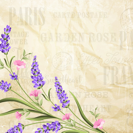 Blooming spring flowers garland of violet lavender. Label template with lavender flowers over old paper texture. Vector illustration.のイラスト素材