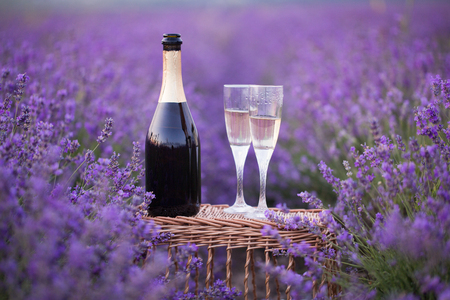 Delicious champagne over lavender flowers field. Violet flowers on the background.の写真素材