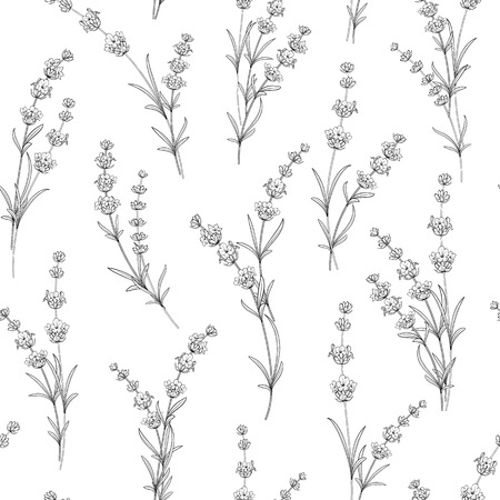 Seamless pattern of lavender flowers on a white background. Watercolor pattern with Lavender for package paper. Vector illustration.のイラスト素材