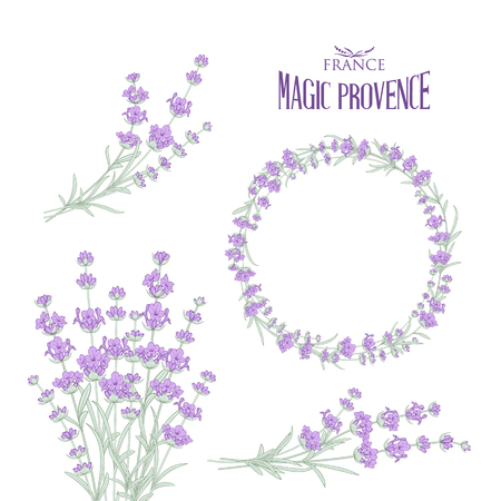 Set of lavender flowers elements. Collection of lavender wreaths, bouquets and branches on a white background. Vector Botanical illustration bundle.のイラスト素材