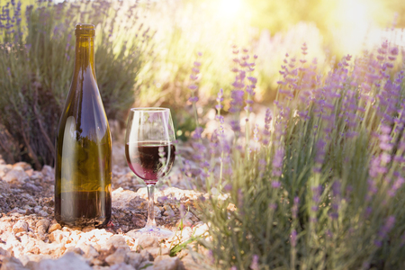 Red wine bottle and wine glass on the ground. Bottle of wine against lavender landscape. Sunset over a summer lavender field in Provence, France.の写真素材