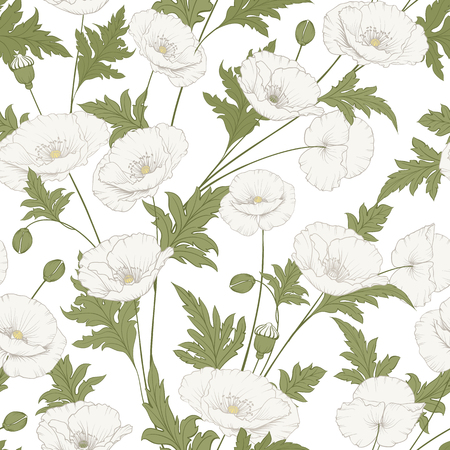 Pattern of poppy flowers on a white background vector illustration.のイラスト素材