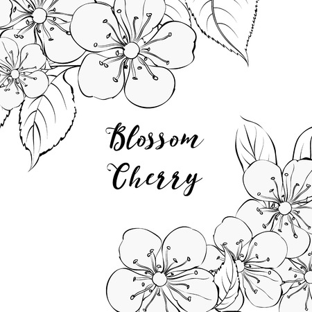 Contour of Blooming cherry tree branch on the border of invitation card isolated over white background and text place in center. Template card and blossom cherry sign.のイラスト素材